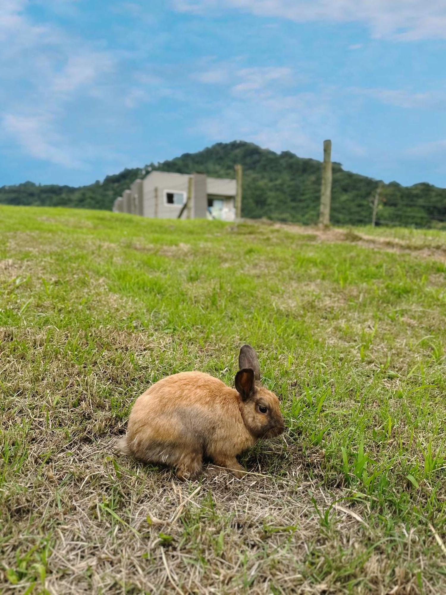 Hospedagem Zilz Pomerode Esterno foto