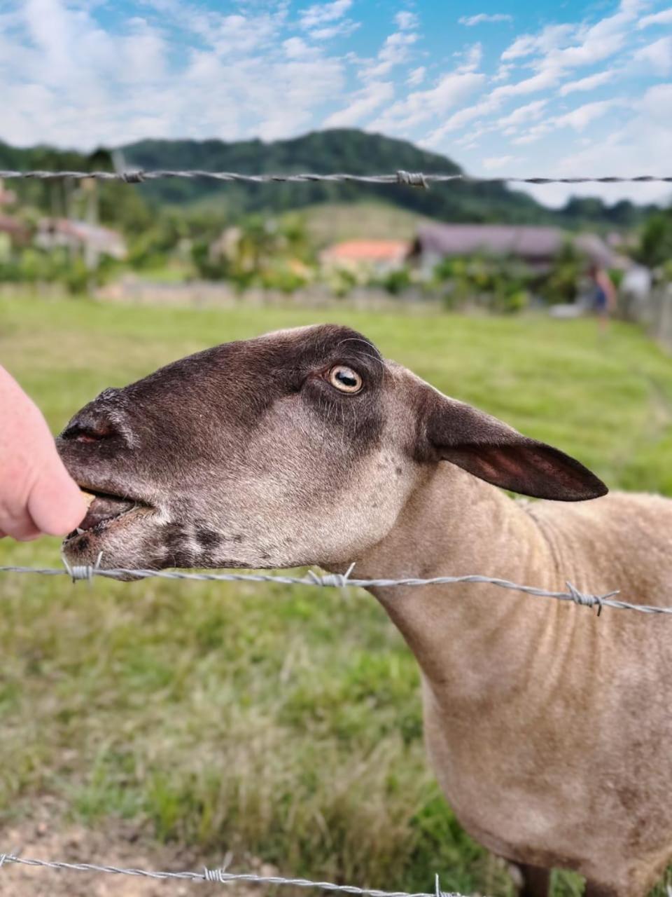 Hospedagem Zilz Pomerode Esterno foto