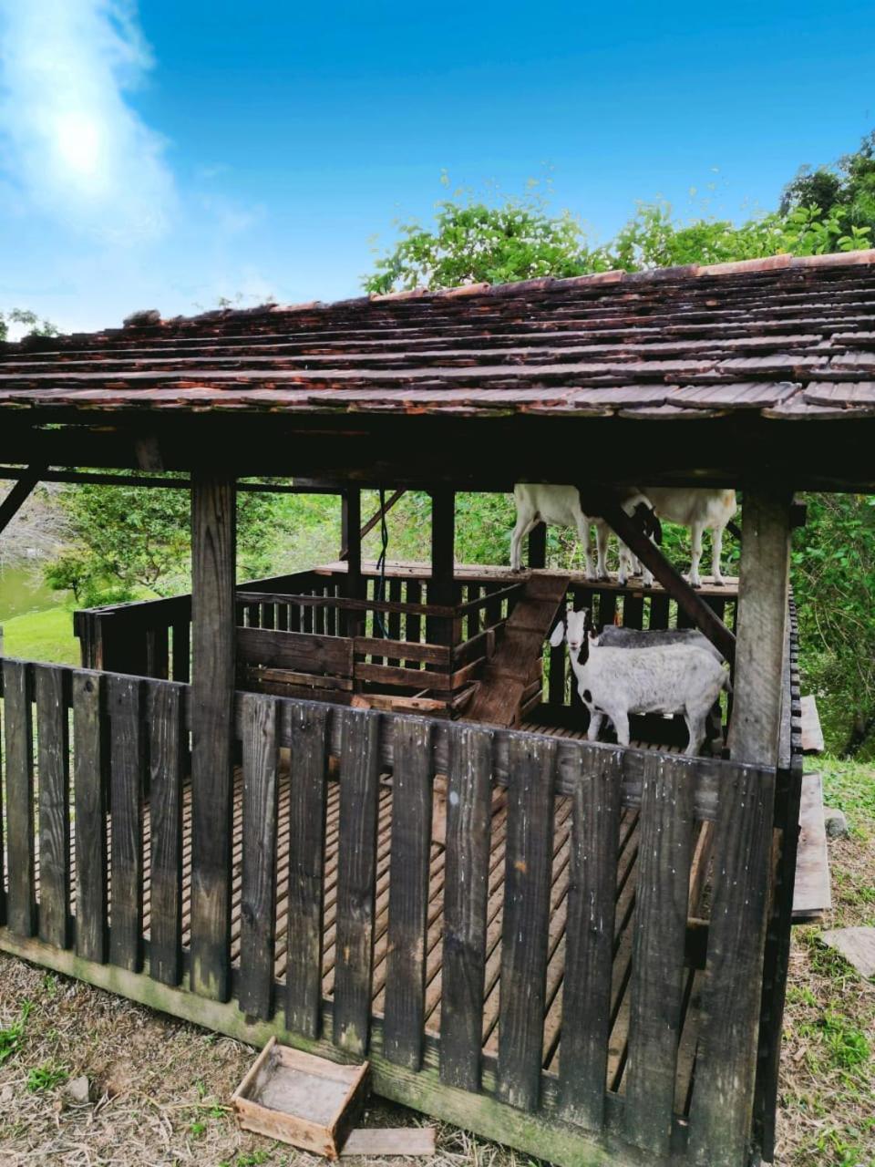 Hospedagem Zilz Pomerode Esterno foto