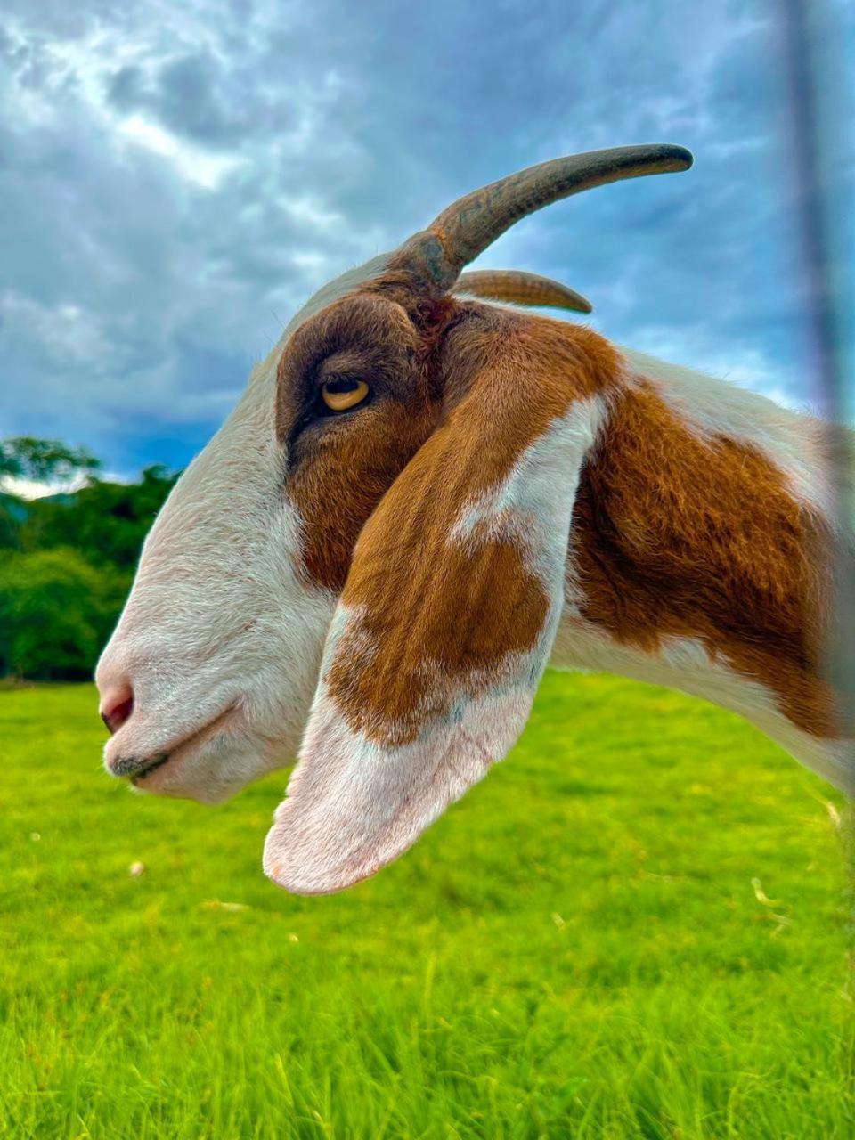 Hospedagem Zilz Pomerode Esterno foto